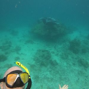 Meet your Posher, El